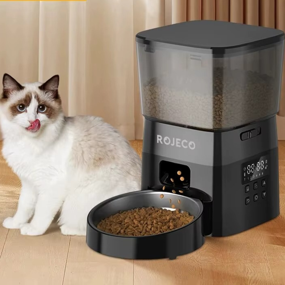 Automatic Cat Feeder